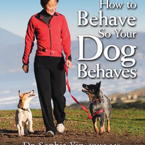 how-to-behave-so-your-dog-behaves