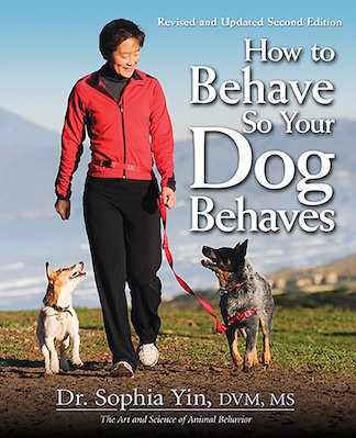 how-to-behave-so-your-dog-behaves